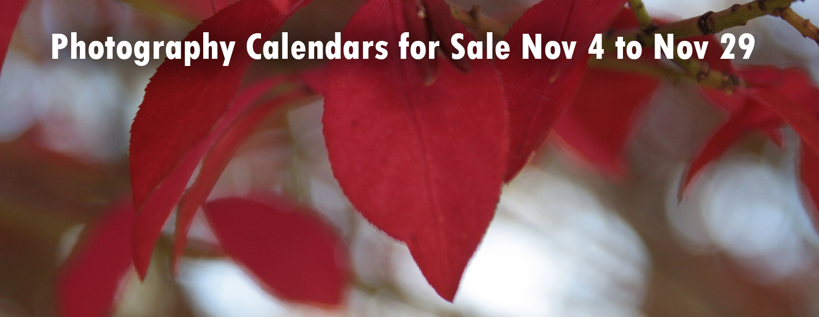 Photography Calendar Sales November 4-29th